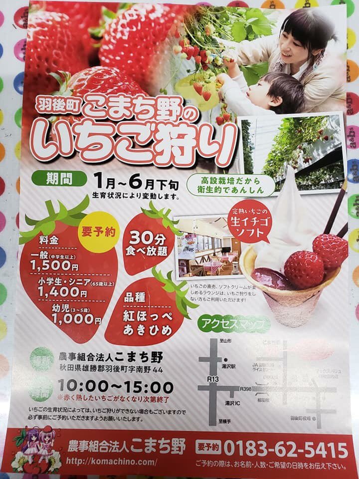 パン団子 羽後町のいちご狩り 今日 11日 から始まりました パン団子 羽後町のいちご狩り 今日 11日 から始まりました