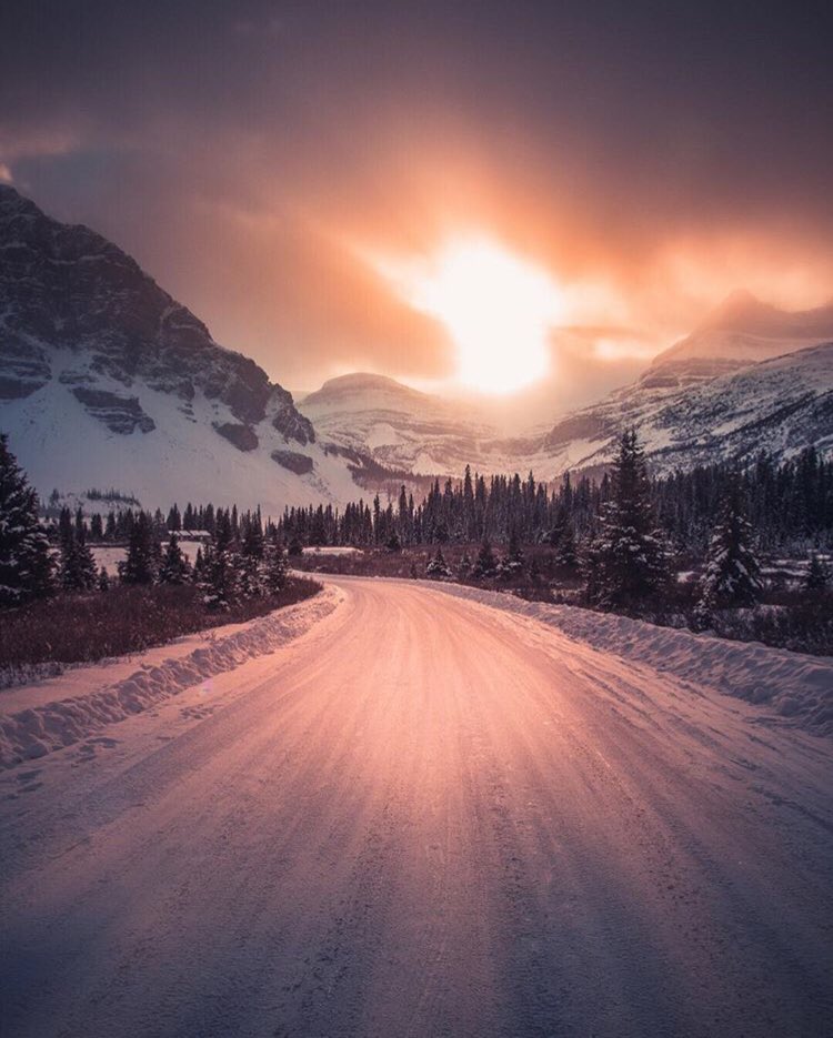 A Banff Boutique Inn tweet media