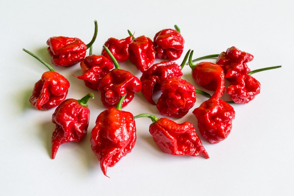 ChapmanJS's tweet photo. The Carolina Reaper is the world’s hottest chilli. Why risk assessment &amp; risk management is important for your health &amp; professional well-being 
https://t.co/fihfNTxiP0 @touchstoneFMS @touchstoneBI #risk #riskmanagement #pmot #chilli  @spicemountain @boroughmarket #touchstonefms https://t.co/Z6bEvRiS0O