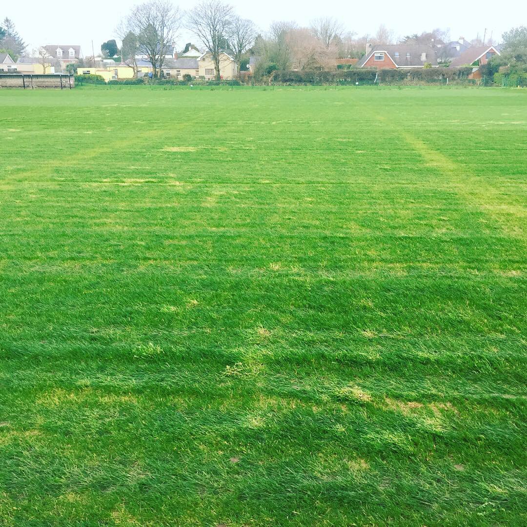 <a href="/NagleSportsTurf/">Nagle Sports Turf</a> 
Pitch looking great after its first cut!!!