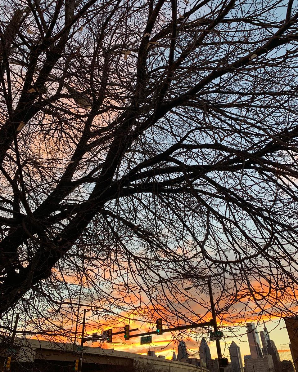 Erik Schut (@mrerikschut) • I ... - ehood.us/5Q1 #ArchiDaily #Archilovers #Architecture #Architecturephotography #ArchiteXture #Branches #Callowhill #CityLife #Cityscape #CloudPorn #Clouds #Eraserhood #Explore215 #Igersphilly #Industrial #Philly #Phillygram #Phl