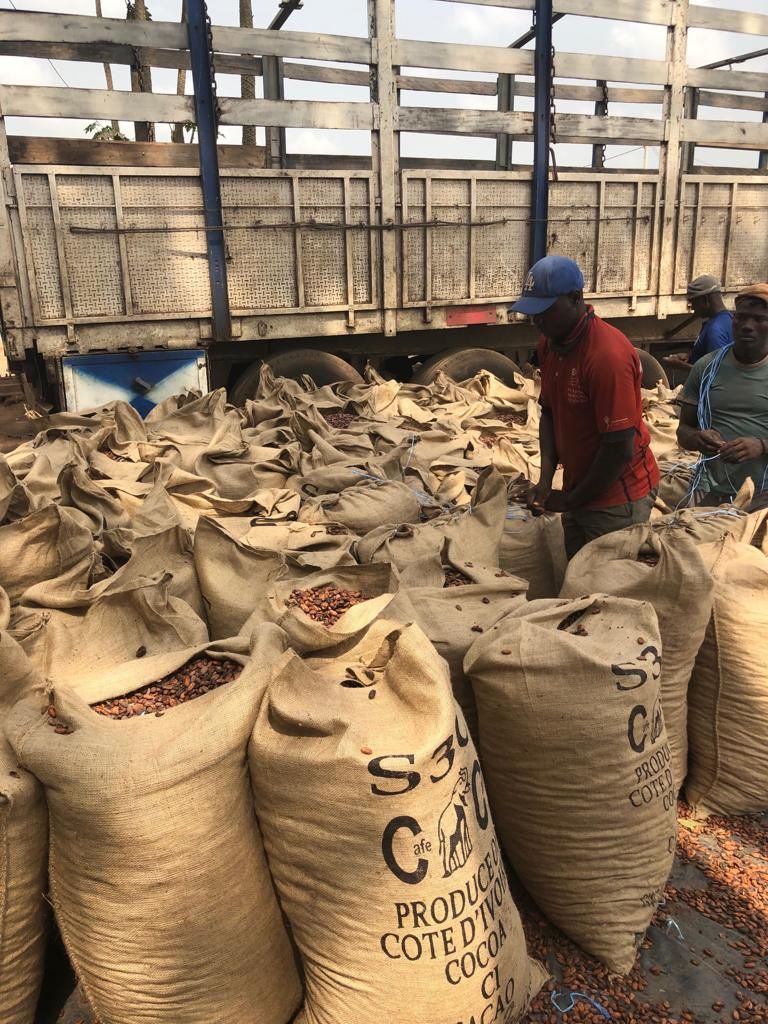 CocoanectBV's tweet image. Meanwhile at coop CPCCT in Tiassale, Ivory Coast, bags are closed to make them ready for loading and shipment. In the upcoming months these beans will be made into some well known and delicious chocolate. #yum #cocoa #cocoanect #frombeantobar