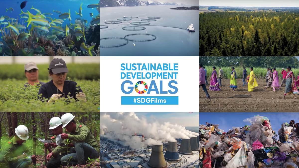 ImpactUN's tweet photo. Find out how companies are embedding the principles of sustainability into the heart of their business to transform the world. Institutions of higher education can team up with the private sector to reach our #GlobalGoals #SDGFilms: https://t.co/WL0vVMvTiE @GlobalGoalsUN https://t.co/JTzvJPy8kb