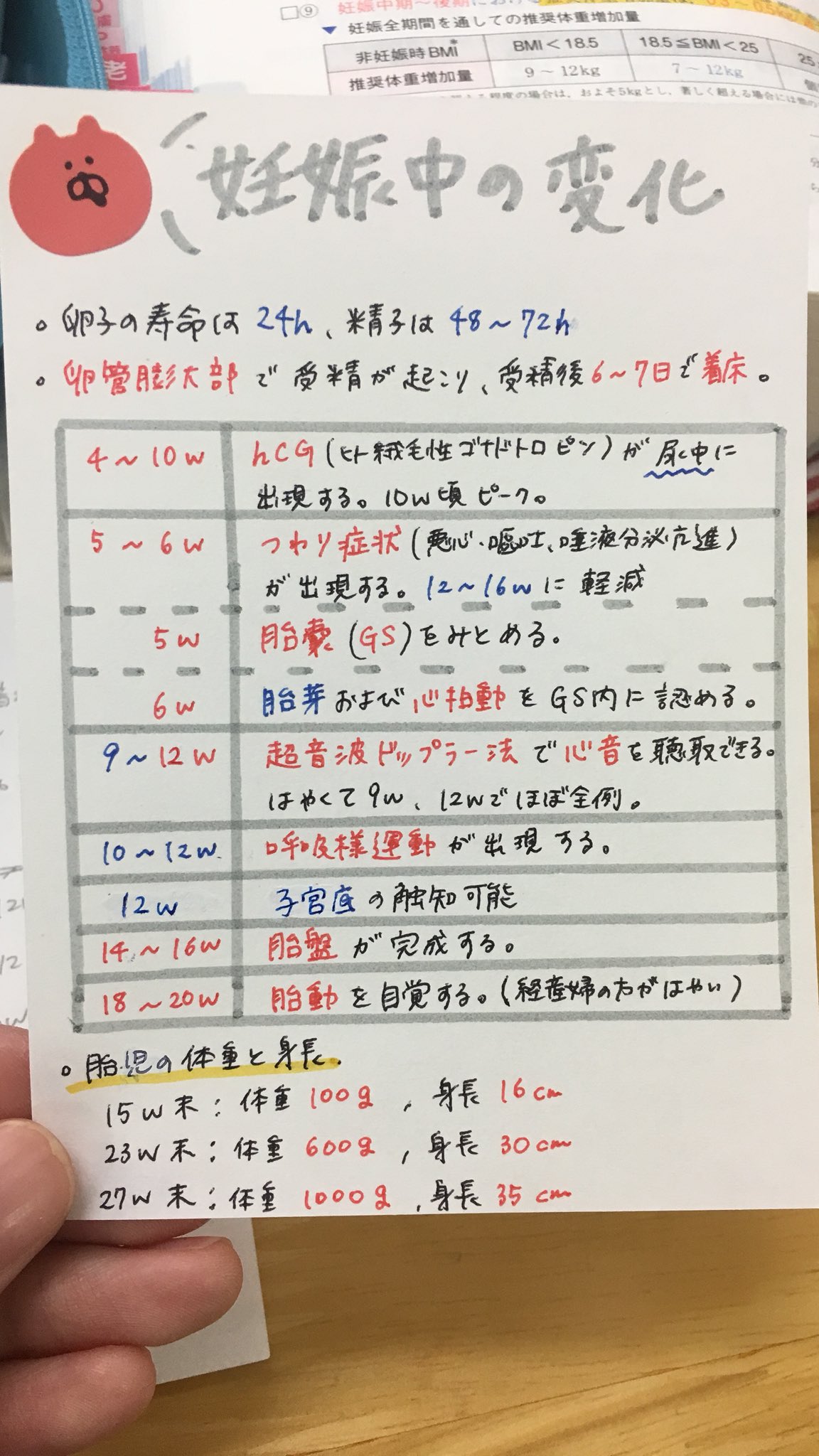 アホな助産師 No Twitter レビューブック 妊娠中変化 Hcg つわり 胎嚢 胎児心音 胎盤完成 呼吸用運 胎動自覚 身長体重 第108回看護師国家試験 ネットでいろんなこと書いてあるけどだいたい16週前後で性別わかるみたいです