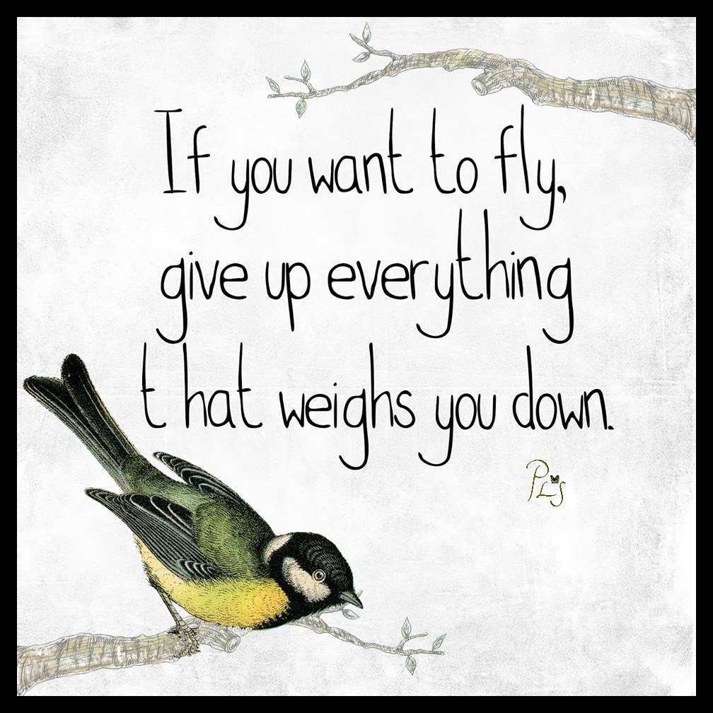 Kim Winkelman (@kimwinkelman4) on Twitter photo 