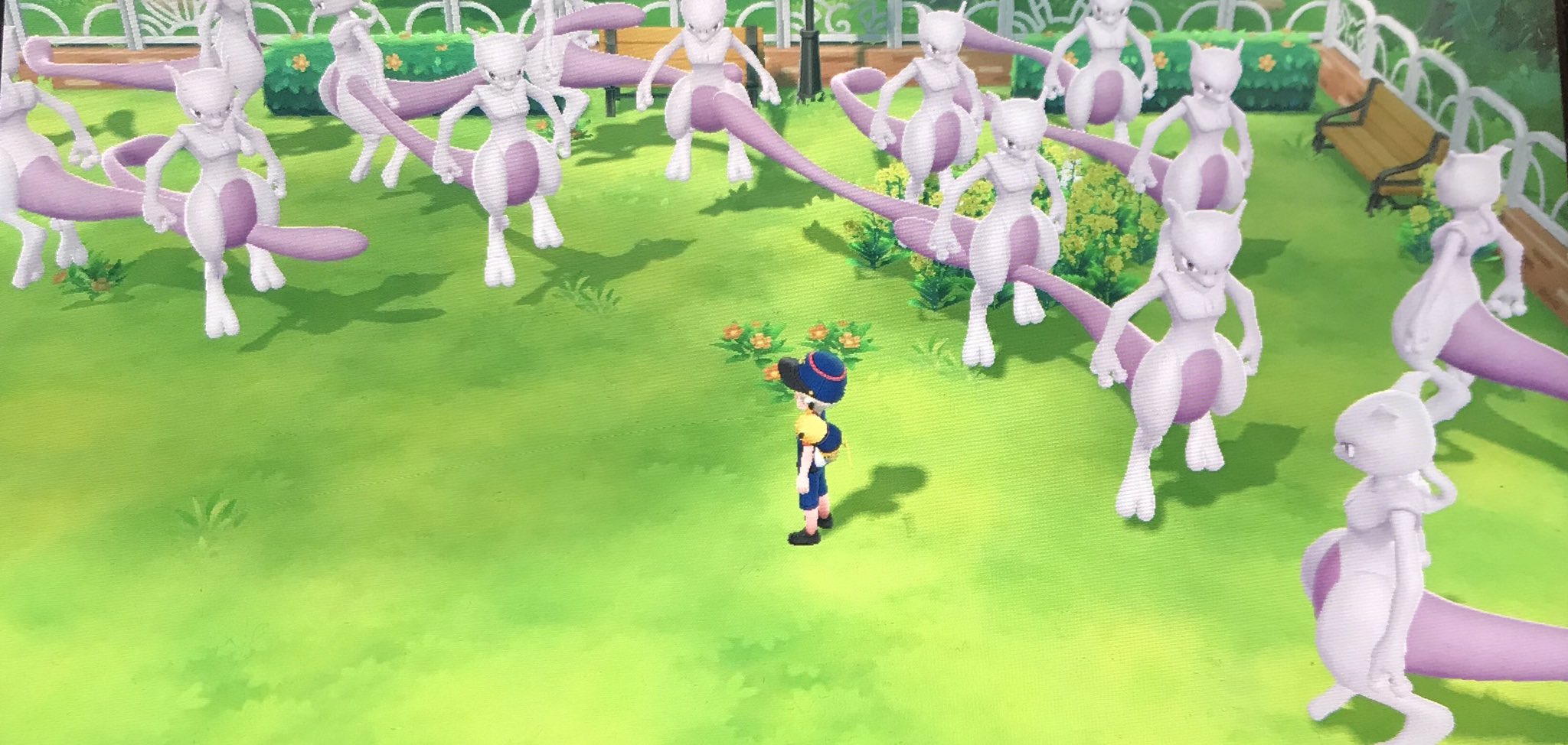 一暴十寒 Goパークに ミュウツー ２７匹 送った ポケモンgo ミュウツー Switch ピカブイ ポケットモンスターレッツゴーピカチュウ T Co 7exrlrfxsp Twitter
