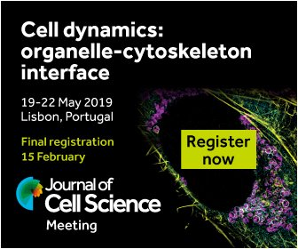 J Cell Science On Twitter Apply Now To Attend Our Meeting Cell Dynamics Organelle Cytoskeleton Interface Organised By Edgar Gomes Heidi Mcbride Mitodynamics Sharon Tooze Sharontooze01 Michael Way Final Few Places Remaining