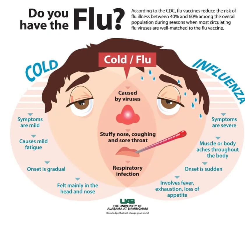 immunodiseases's tweet photo. Influenza #infection increases the risk for bacterial pneumonia in people who went on transplantation and also sometimes  leads to death.
Submissions Open  For volume 3, Issue 1 https://t.co/cctnhpj18n