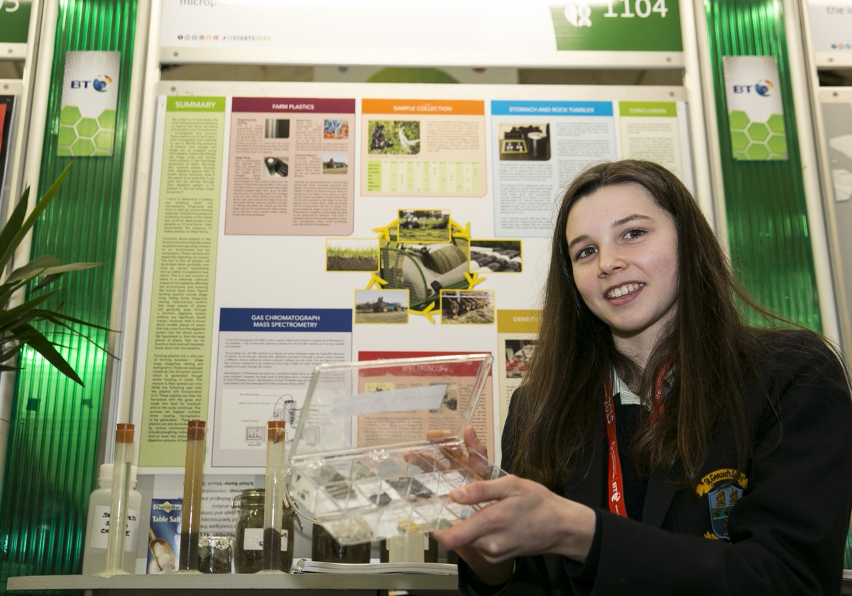 StripeYSTE's tweet photo. Amelie Moore, St. Gerard's School, Bray @StGerardsSch with her project, 'To Investigate the Incidence and Impact of Mocroplastics on Irish Farms' View Amelia's project at Stand No 1104 in the Biological &amp; Ecological Sciences Section. #BTYSTE #btyse2019 #ItStartsHere https://t.co/RHPuorHCTA