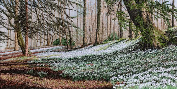 Willow_Oswestry's tweet photo. Snowdrop Walk, Machine Embroidery by Alison Holt

"Using a basic Bernina sewing machine and just 2 stitches, straight stitch and zig-zag I make embroidered pictures of landscapes, seascapes, flowers and garden scenes, influenced by the Shropshire Wales border near Oswestry. https://t.co/zxApP5pvSe