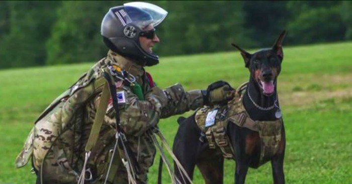 365hops's tweet photo. Parachuting Dog Could Receive His First License To Skydive Without A Human

#adventure #skydiving 

https://t.co/Lh90NyzGDw https://t.co/yQbJ06MVI1
