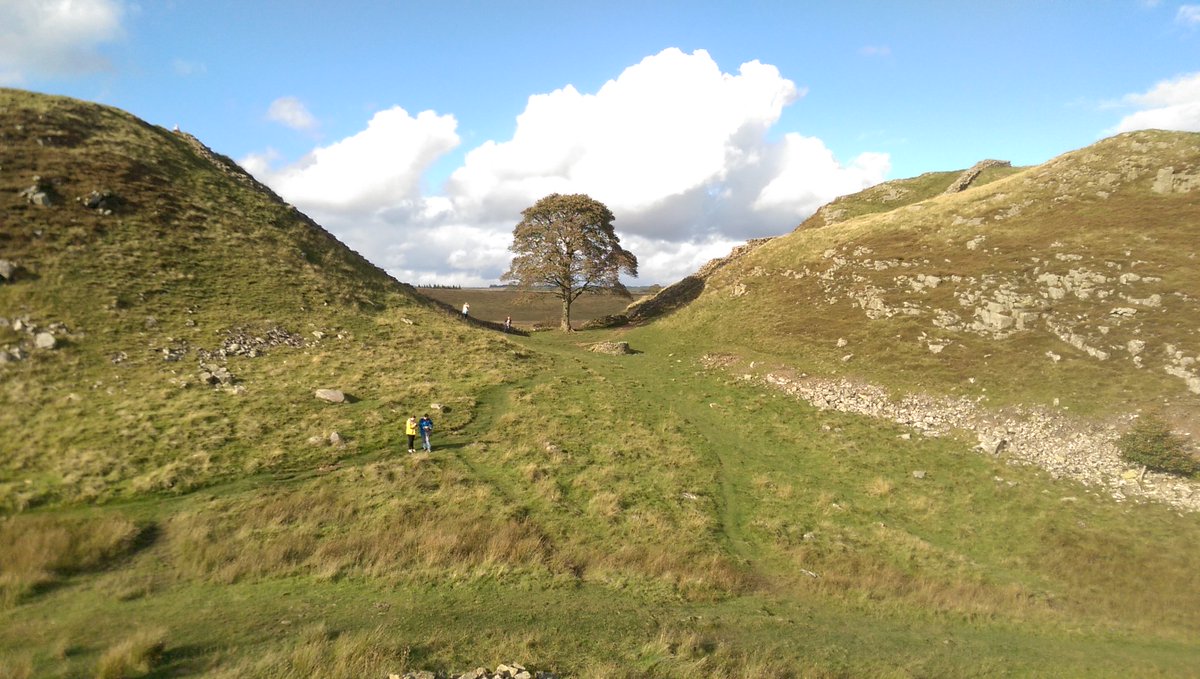 Freedom to Roam - check out this great feature on Northumberland National Park from <a href="/natgeoau/">Nat Geo Australia</a> #visitnorthumberland #itsinournature
ow.ly/W0Ye30ng9Us