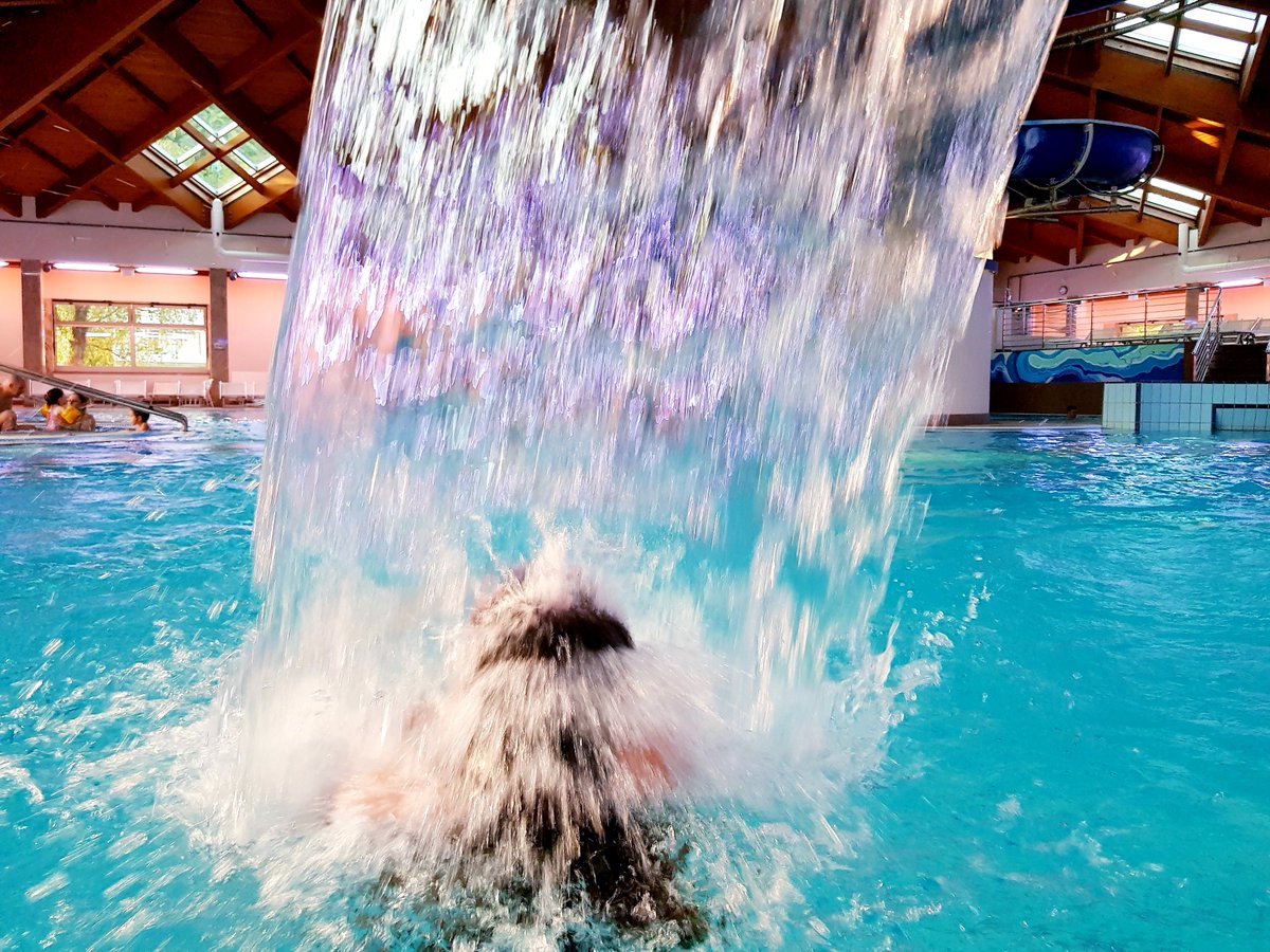 Bajka_na_dlanu's tweet photo. Opustite se i upoznajte ljekovitu moć vode u zagorskim termalnim kupalištima... 🏊♂️ #visitzagorje #bajkanadlanu #toplice 📷 Jasenka Haleuš https://t.co/Qjbfh9evmJ