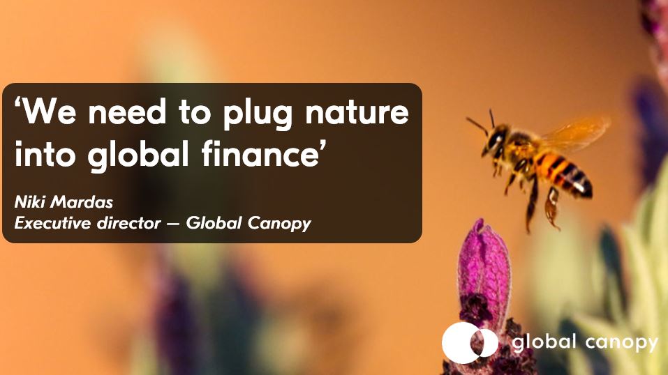 Global Canopy (@globalcanopy) on Twitter photo Find out why the finance community has largely neglected the severity of the risk from the depletion of natural capital from our executive director <a href="/nikimardas/">Niki Mardas</a> here: ow.ly/36An50k8kxe via: @FDleaders:
#Finance #NaturalCapital #ESG Find out why the finance community has largely neglected the severity of the risk from the depletion of natural capital from our executive director <a href="/nikimardas/">Niki Mardas</a> here: ow.ly/36An50k8kxe via: @FDleaders:
#Finance #NaturalCapital #ESG