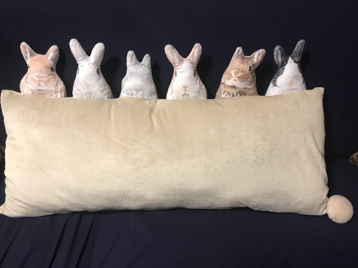 うさ ついに来ました みなさんのツイートで写真を拝見して 憧れてたフェリシモのうさぎがのぞくふわふわロングクッション 私的には後ろ姿がお気に入りです うさぎ うさぎクッション フェリシモ クッションからぴょこっ うさぎがのぞくふわふわ