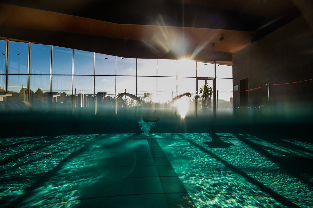 ONEflowAquatics's tweet image. Get ready for something big! 🏊‍♀️ #oneflow #swimming #isl #internationalswimmingleague
📸: @jokleindl