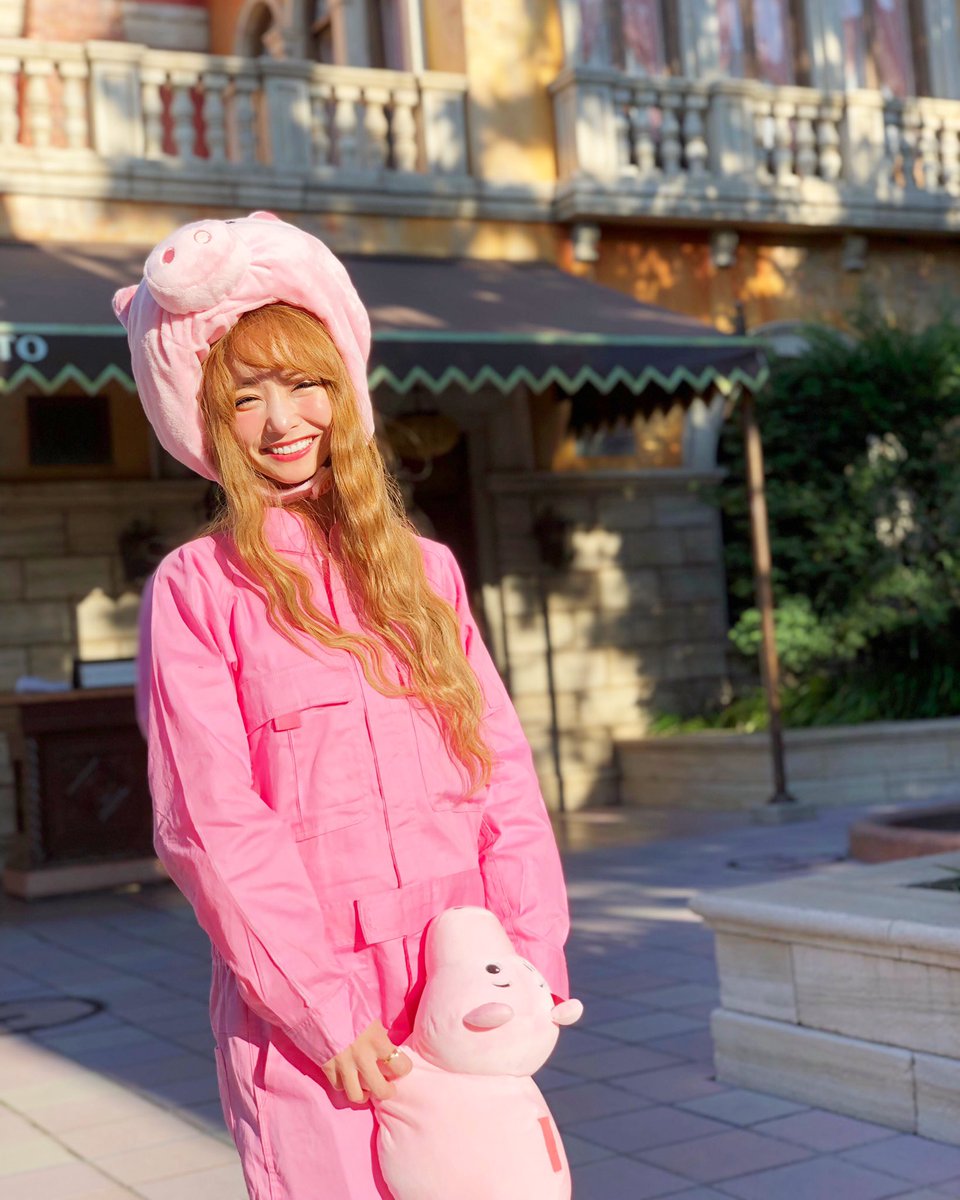 武田静加 最初ハムちゃんはただの豚さんだったと思ってて 顎のところに100円600円って書いてあるんだけど 一体なんなんだろう って思ってたら貯金箱だった ハムちゃんが もっとすきになりました ディズニーシー