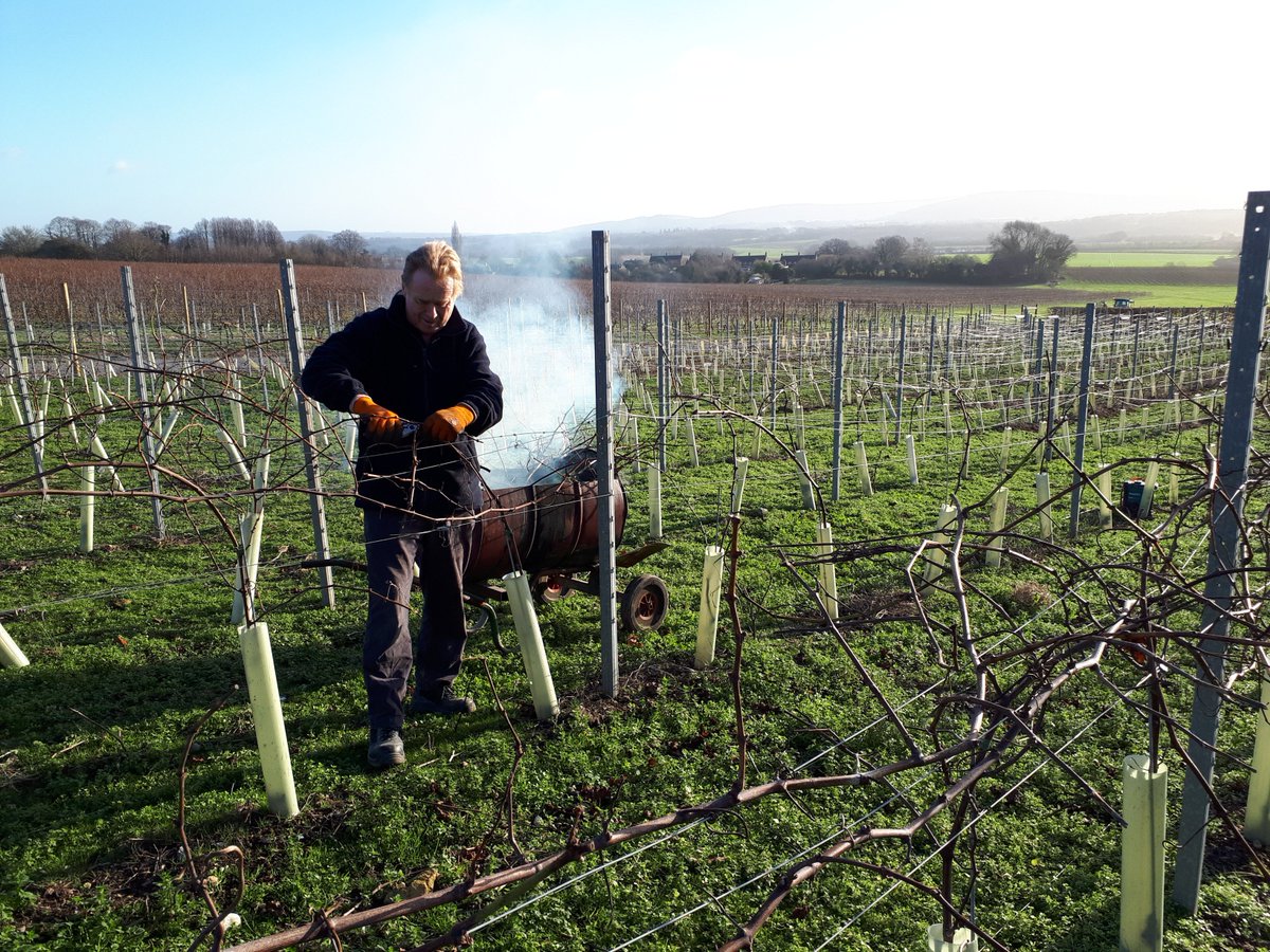 Andy keeping warm while winter pruning is in full swing
