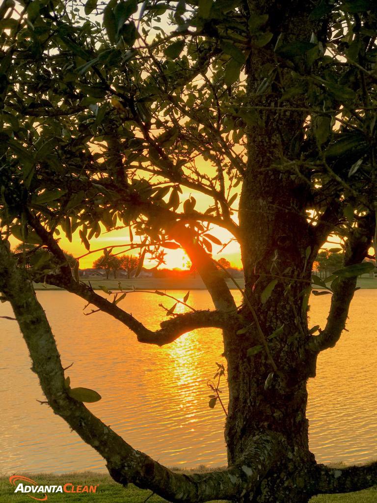 AdvantaCleanHTX's tweet photo. Houston’s sunrise. Hope you all have a great thursday! #AdvantaClean | Photo Credits: Luis Williams | https://t.co/pPYL6q2b8V