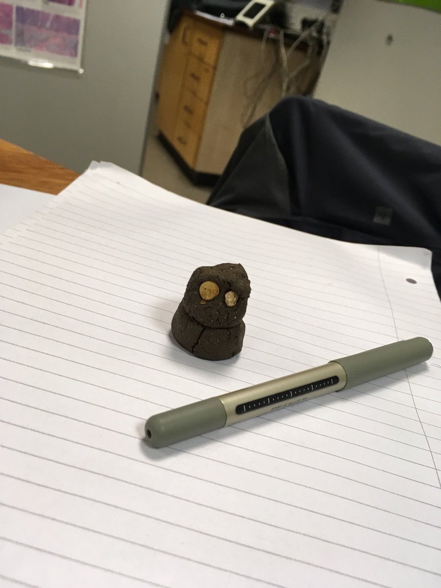 NicolaEcol's tweet photo. Investigating soil in science today @UC_Sparsholt @Sparsholt_Coll Wildlife Ecology & Conservation degree #watercapacity #nutrients #pH affecting habitats and wider ecological concepts https://t.co/TG2r7yeY9C