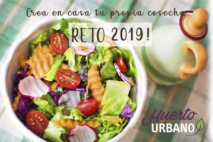 Inferco's tweet image. Con el comienzo de nuevo año vienen los objetivos, las promesas y los retos! Que te parece que uno de ellos sea tener tu Huerto Urbano siempre listo para cosechar? Aquí tienes el CALENDARIO SIEMBRA DE HORTALIZAS.¿Te apuntas al reto?
inferco.com/en-casa/calend…