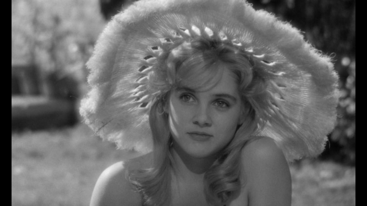 スーリオン Twitter Search Twitter