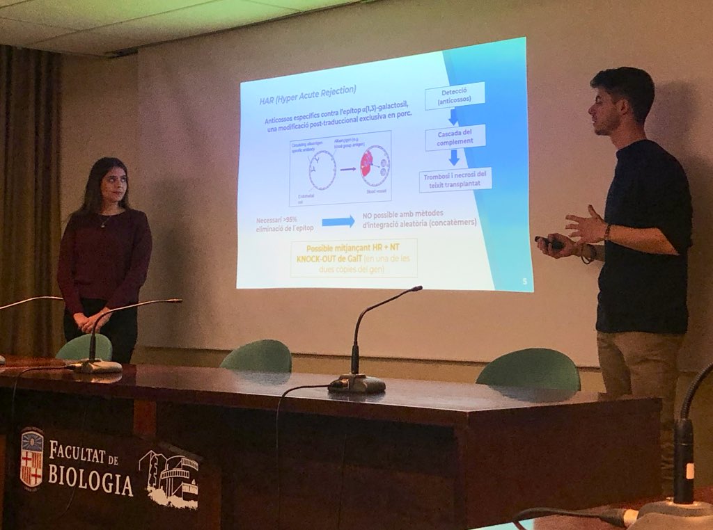 evodevogenomeUB's tweet image. Congratulations to all participants of the IX @TraMA_UB symposium @GeneticsUB @BiologiaUB presenting very interesting talks on Animal #Breeding and #Transgenesis. The future is yours! 🙋🏻‍♀️🙋🏻‍♂️💪🏻👏🏻👏🏻👏🏻