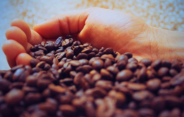 Bayangkan jika Anda seorang petani kopi arabika. Kalau menjual buah merah saja, laku sekira Rp 5.000 per kilogram. Jika panen Anda satu ton, maka Anda meraup Rp 5 juta sekali panen.⠀
⠀
“Leh uga,” kata anak gaul sekarang.⠀
⠀
Sekarang bayangkan jika An… bit.ly/2Rl4jtr