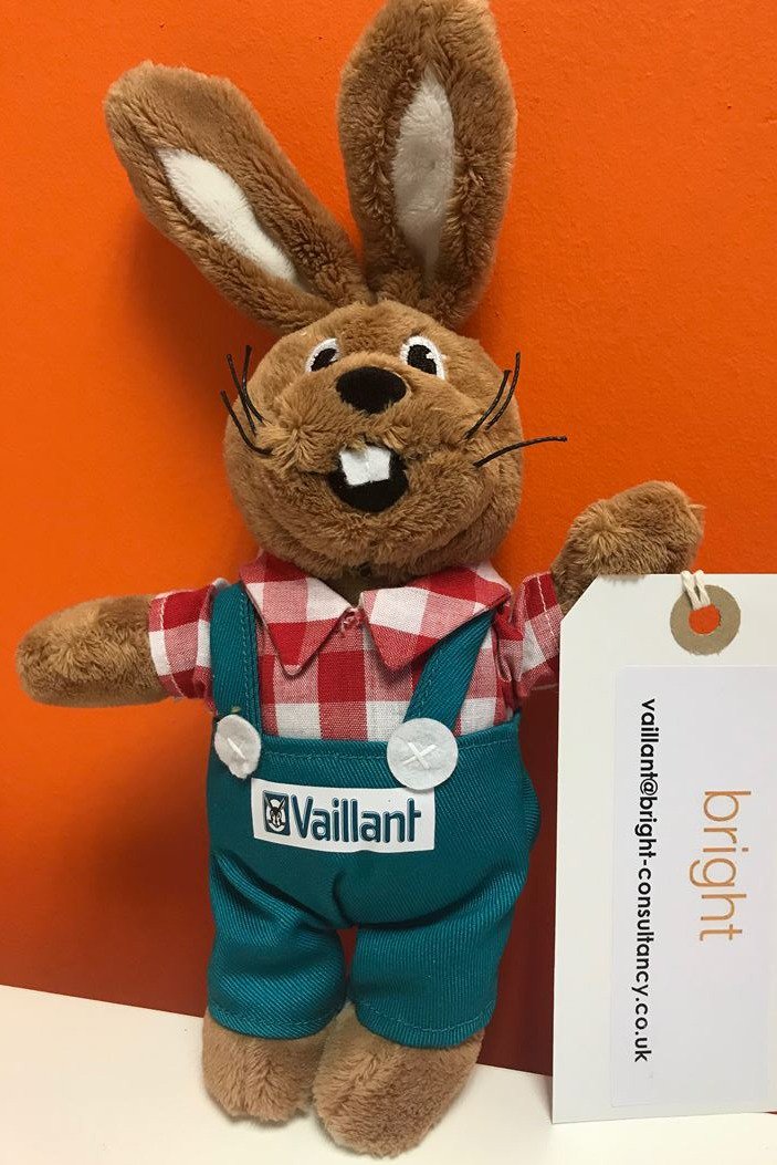 brightideasuk's tweet photo. So, we've got big news.... 💚🐰 https://t.co/GGwjn0P9bS