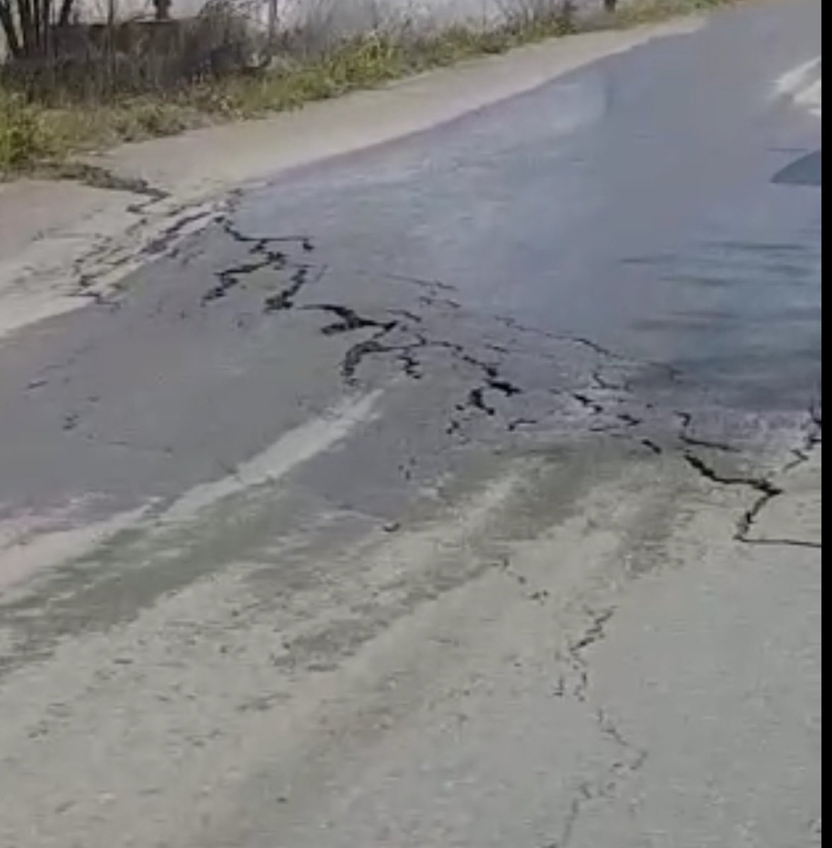 Miguel Contreras tweet media