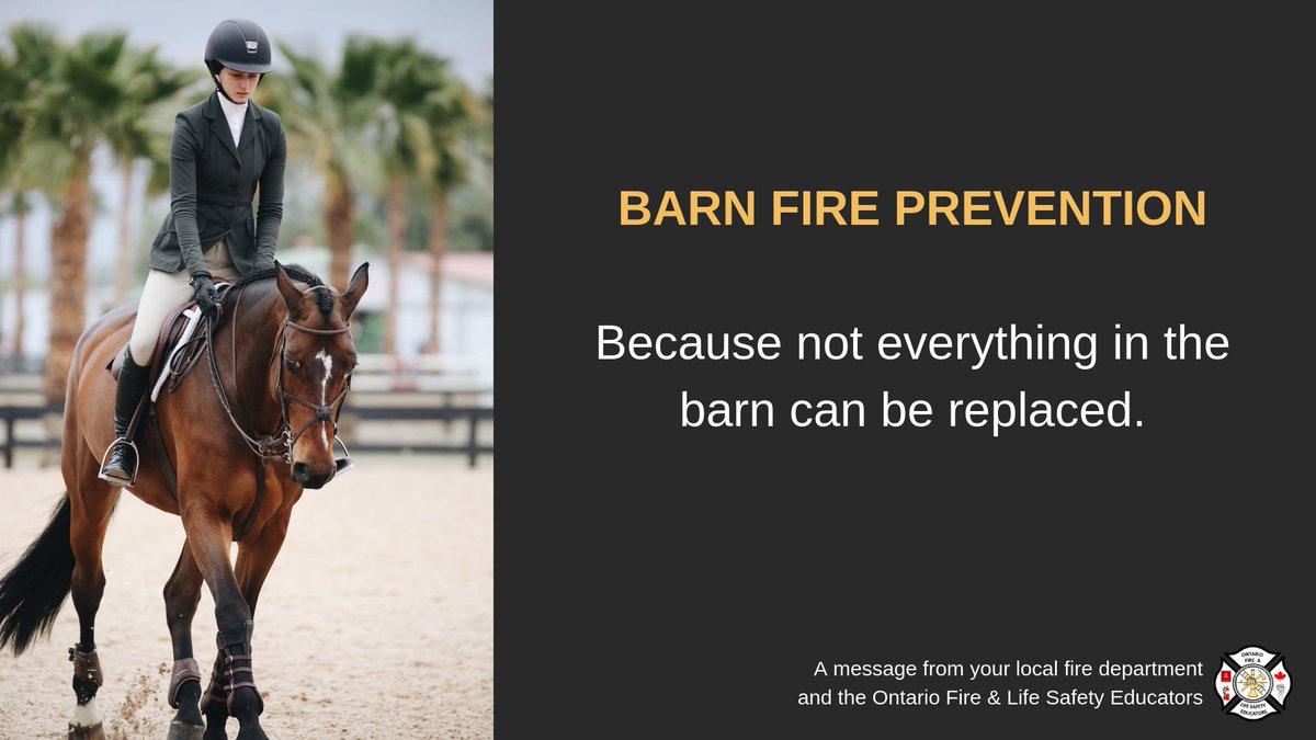 Oflse On Twitter There Is More At Risk Than The Barn