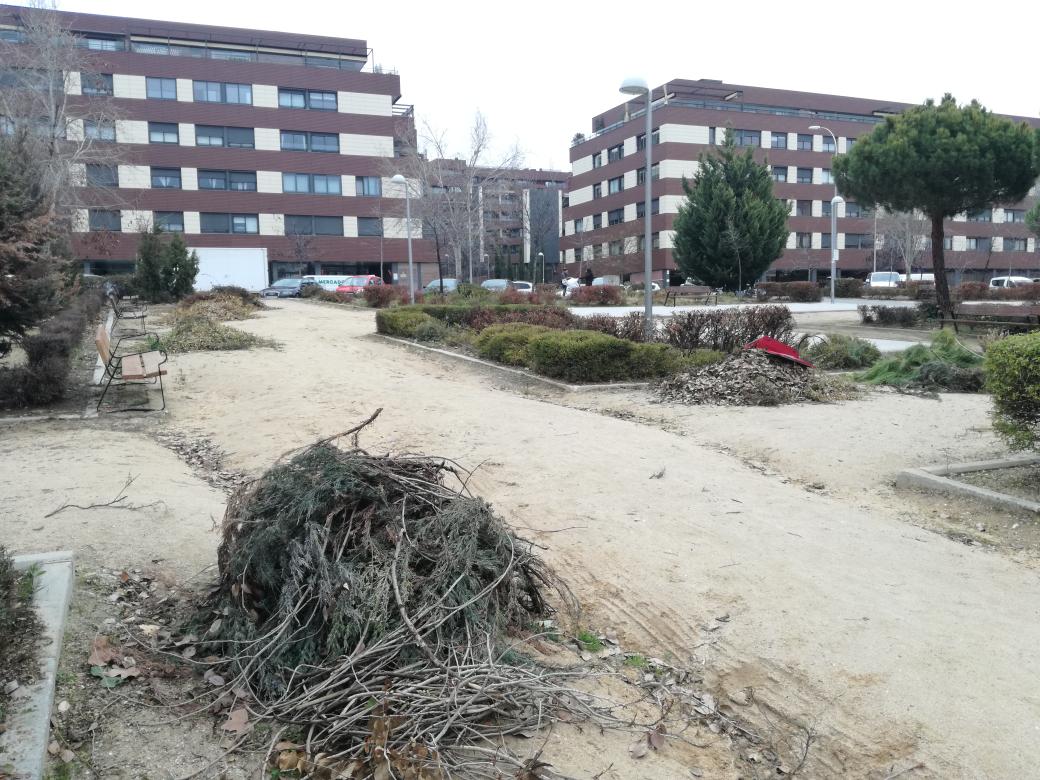Beirubio's tweet photo. @Lineamadrid podaron en Av. Monasterio de El Escorial, en el parque de la rueda, hace más de dos meses y siguen los restos. ¿Van a esperar a la siguiente poda para recogerlos todos o a ver si agarran y crecen más arbustos? Entre las dos fotos hay más de un mes de diferencia https://t.co/DJVSttkPcc