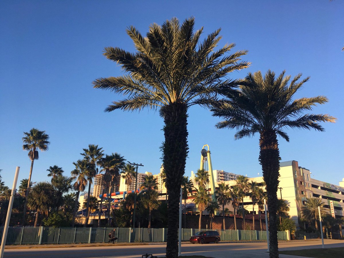 PAX_news's tweet photo. Feelin’ the bite of Old Man Winter? Escape with these warm pics from #DaytonaBeach! PAX’s @globalnicolanti is on location this week covering #Huddle19, @VISITFLORIDA’s foremost #travel trade event. #FloridaHuddle @HardRock #loveFL #LoveDaytonaBeach @DaytonaBeachFun #Florida https://t.co/3qQRYJu7sA
