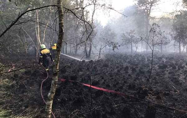 GrimoldiPaolo's tweet photo. #Incendio #ParcoGroane Il susseguirsi di questi eventi nelle nostre zone nell'ultimo periodo è inquietante. La magistratura accerti eventuali cause dolose dei #roghi! #Grimoldi #Lega #Lombardia #Groane
https://t.co/i5Kb3bND7b https://t.co/2hLVkv6knW