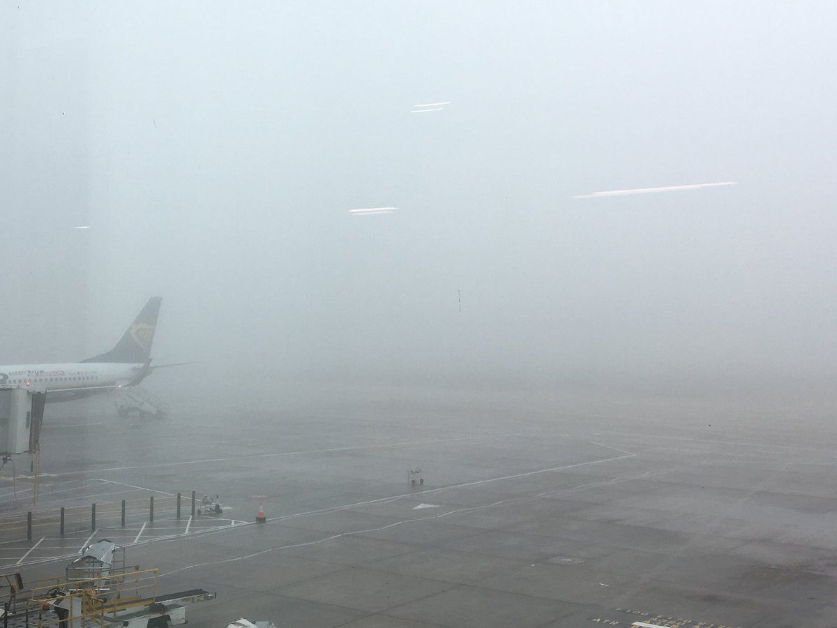 Advance_Milking's tweet photo. With U.K. weather like this it’s even more of a pleasure to be heading to Barcelona to deliver #training in #MilkingTimeTesting ☀️ https://t.co/hNUospESL5