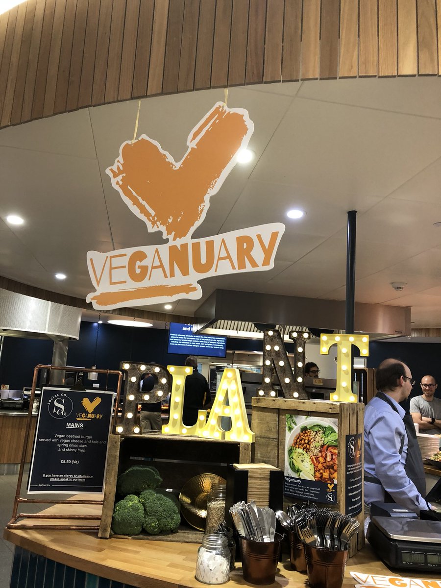 VeVEE Network 🌱 tweet media