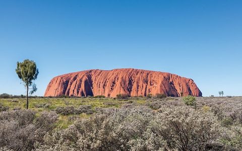 AmericanTrainV's tweet photo. The best epic railways journeys to take in 2019 

Read more: https://t.co/xdmIe0yYNM

#Luxury #Train #Vacation #Trips https://t.co/JeZlFi3KYe