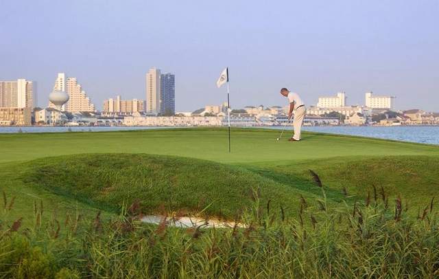 Ruark Golf tweet media