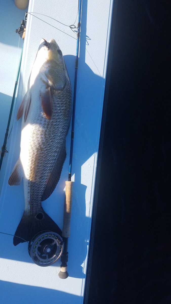 FirstCoastExpe1's tweet photo. @sageflyfish Salt 8wt fun! https://t.co/onRZM5CX3P