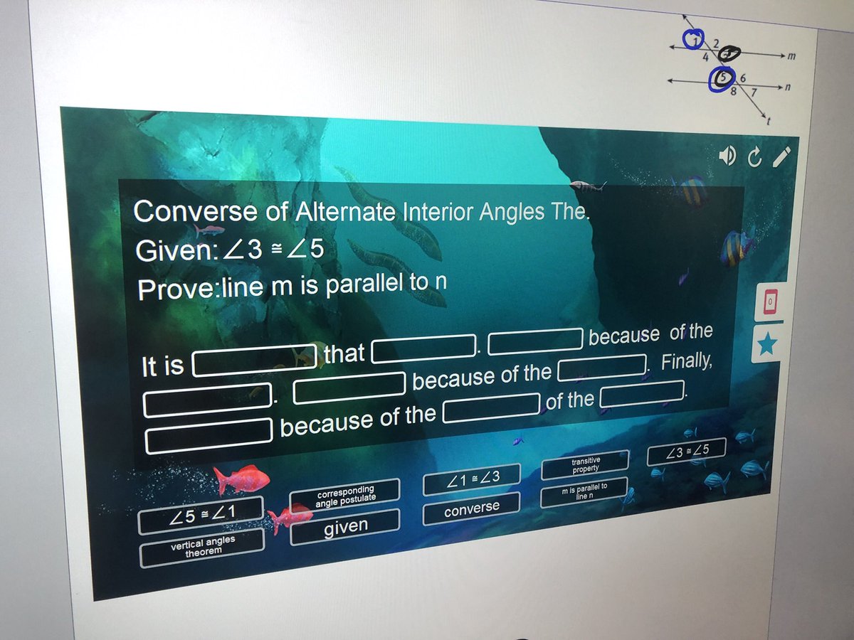 Bethany Vallio tweet media