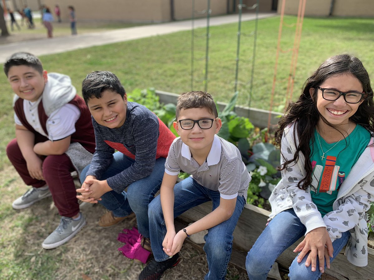 JodieAllex's tweet photo. Third grade color garden! Passed out some cilantro and dill for our teachers to enjoy during lunch. Look at the swiss chard!! #THEGT #hcisdproud @THE_HCISD https://t.co/5aqcuytAvE