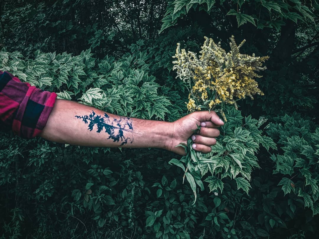 MomentaryInk's tweet image. We were gonna take a picture "in house" for #nationalhouseplantday , but we firgured this shot by @lureofadventure was better than anything we could do. 😅
And don't forget to water your house plants today 💦🌱

#nationalhouseplantappreciationday #houseplantday #treetattoo #
