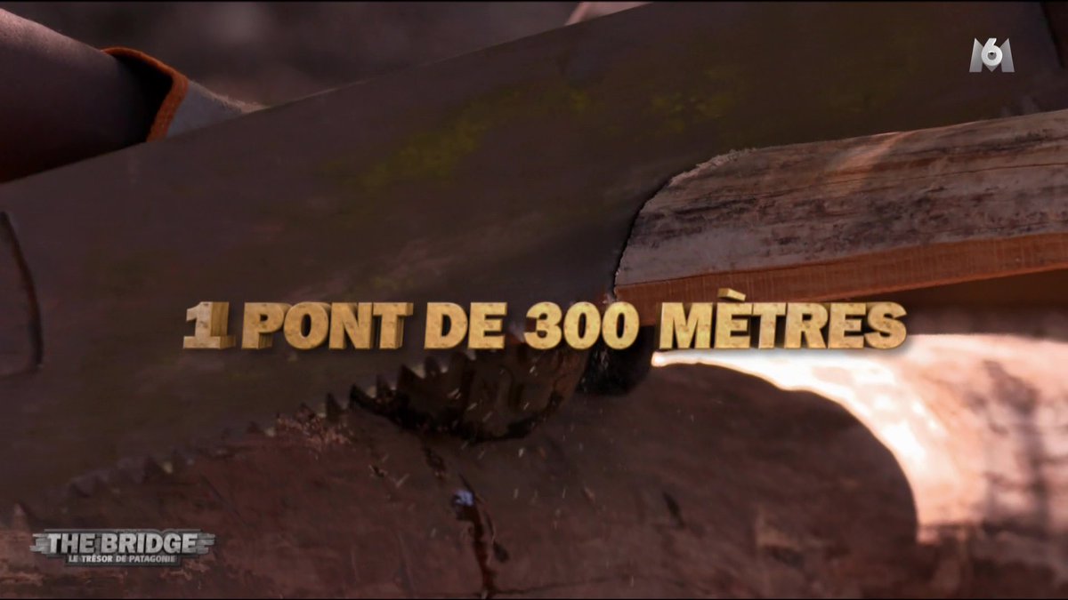 📺 ⓃⒾⒸⓄⓁⒶⓈ 📺 tweet media