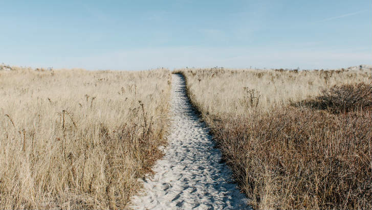 datacentretimes's tweet image. Listen to Vincent Diraddo at Advantage18 talk about why Sage Intacct is as right for them now as it was seven years ago bit.ly/2L9cans #ProfServ  @salesforce