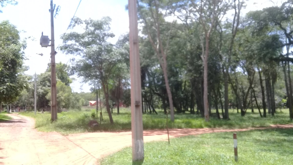 ColmanSusy's tweet image. Aregua  .. .lotes a cuotas 
Te Espera!!! ; conosca ya!!!
Contactarnos  al 0984677602