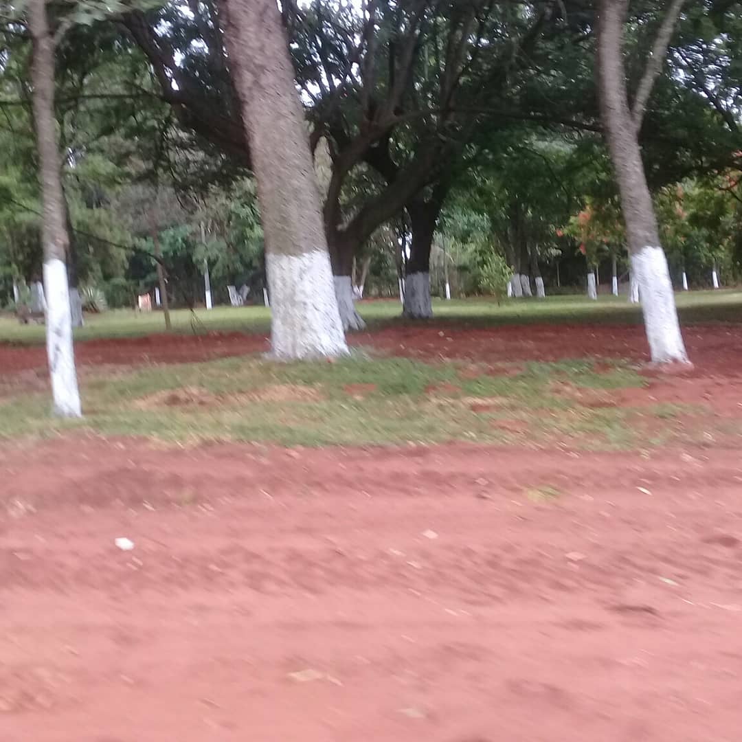 ColmanSusy's tweet image. Tenemos promocion !!!!
ITAUGUA  RUTA 2 KM 25 
Lotes a cuotas  en un barrio  bien formado. 
Informe al 0984677602