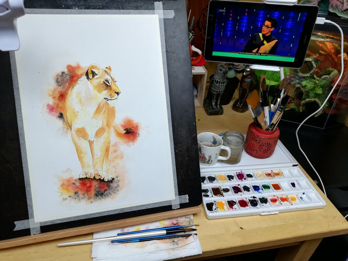 LiselleFaeArt's tweet image. Catching up on the last couple of #InsertNameHere episodes while I work on this lioness for my March exhibition 🦁🎨  @sueperkins @KateWilliamsme @sixteenthCgirl @tomallencomedy and everyone else make excellent company in the studio for an evening!