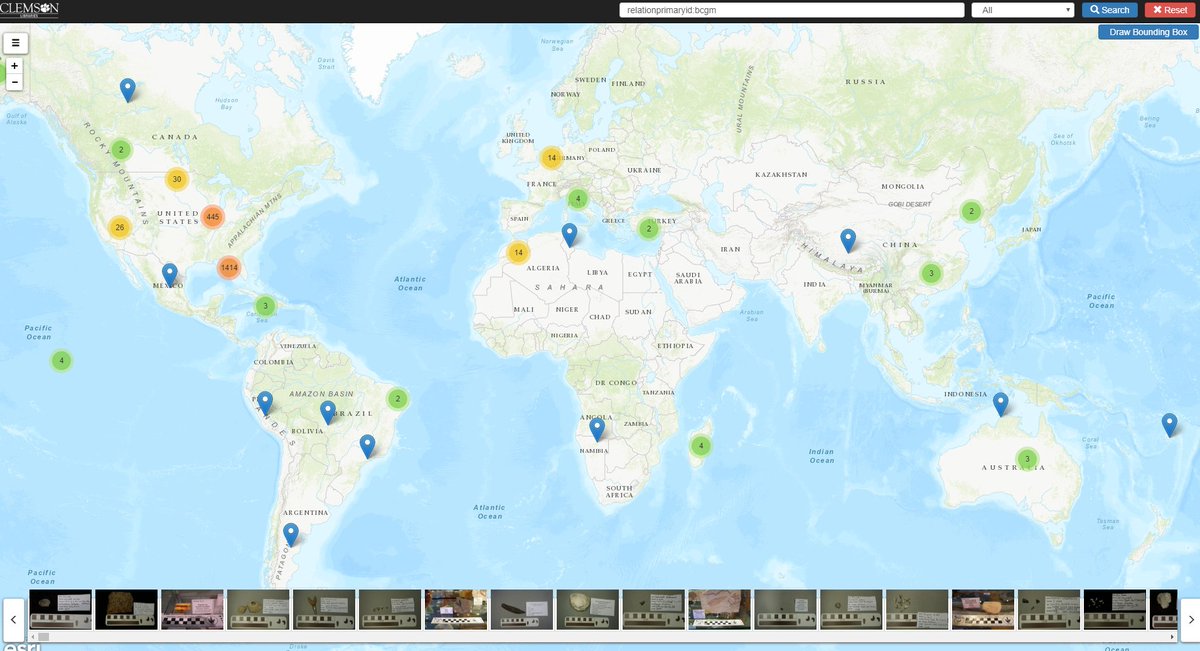 ClemsonDigLib's tweet image. Check out our latest collection of images we are hosting for the Bob Campbell Geology Museum. Thousands of images of the museum's fossil collection from around the world. @clemsonlibrary @ClemsonUniv digitalcollections.clemson.edu/explore/collec…