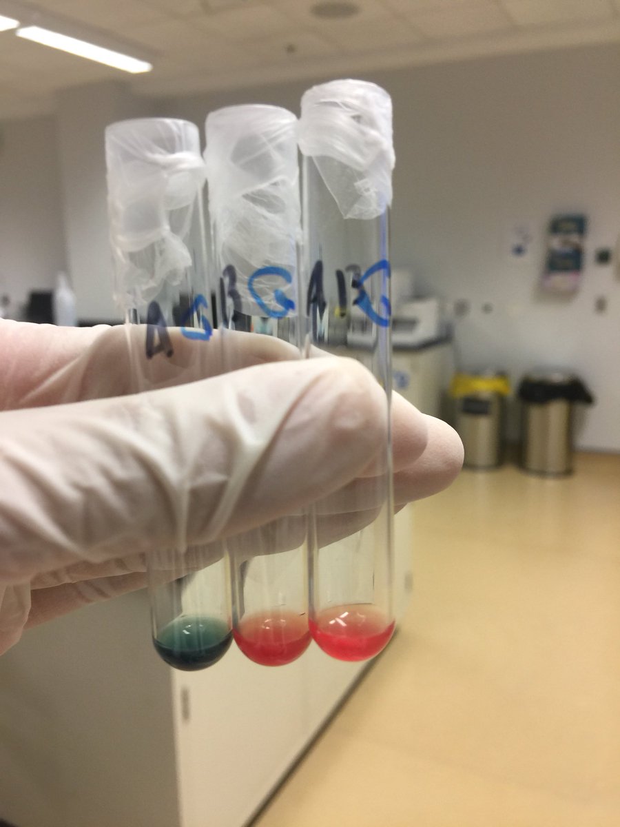 Clinical Lab tweet media