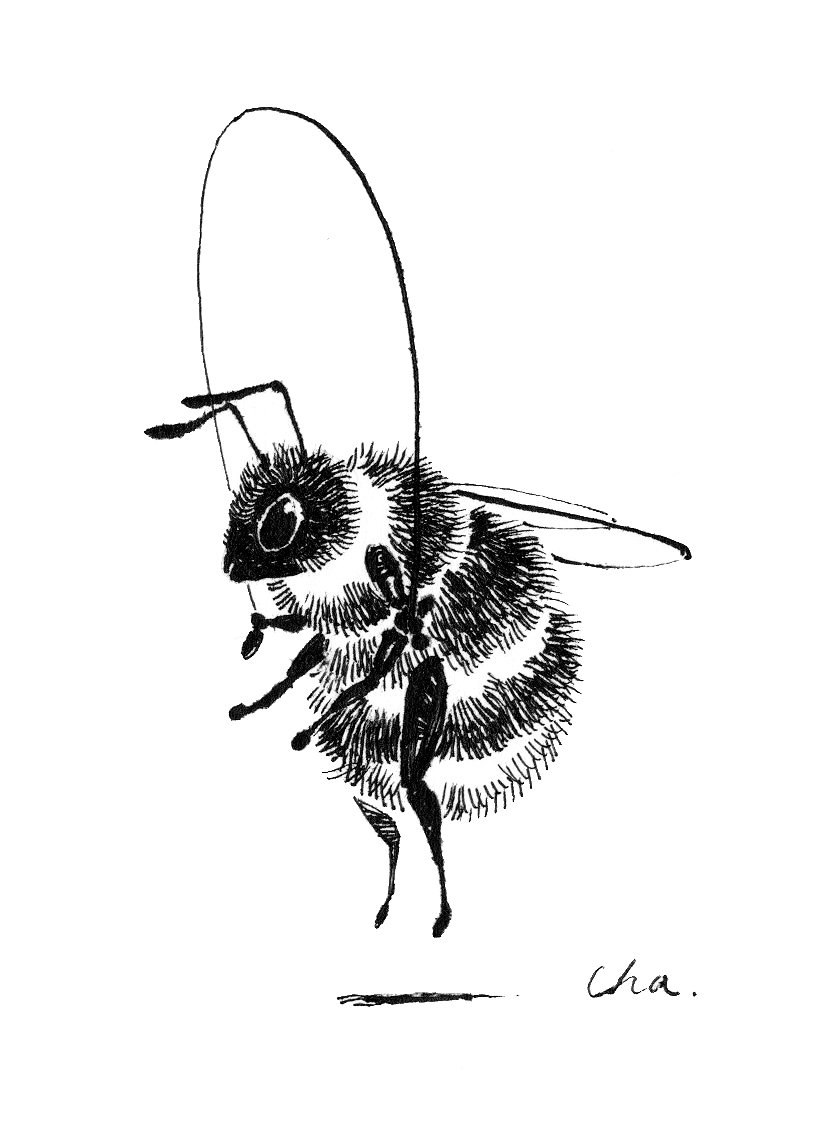 hrcha1010's tweet photo. 🐝 https://t.co/sdkjioCSvE
